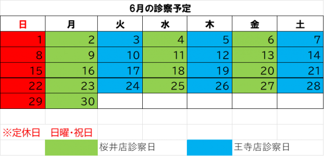 6月の診療予定