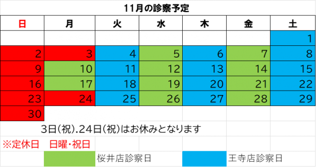 11月の診療予定