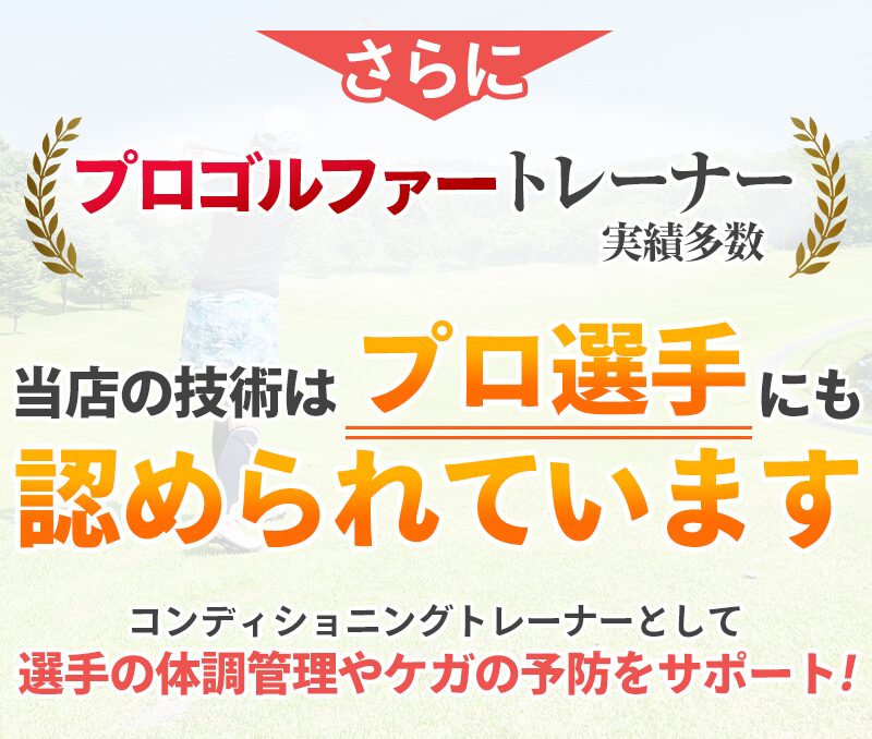 プロゴルファーのサポート実績